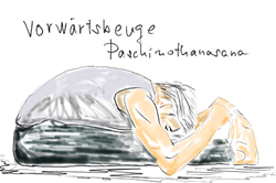 5.	पासचिमोततानासाना � Paschimottanasana � Die Vorw�rtsbeuge