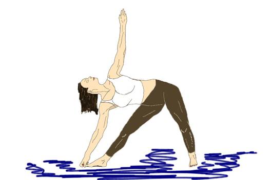 12.	त्रइकोनासाना � Trikonasana � Das Dreieck